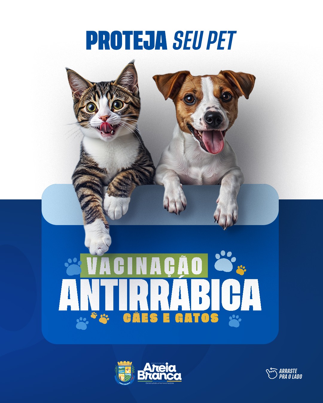 Proteja seu pet: campanha de vacinação antirrábica para cães e gatos inicia dia 21